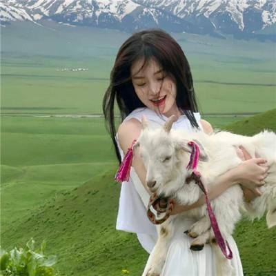 重生后带着女婿发家致富